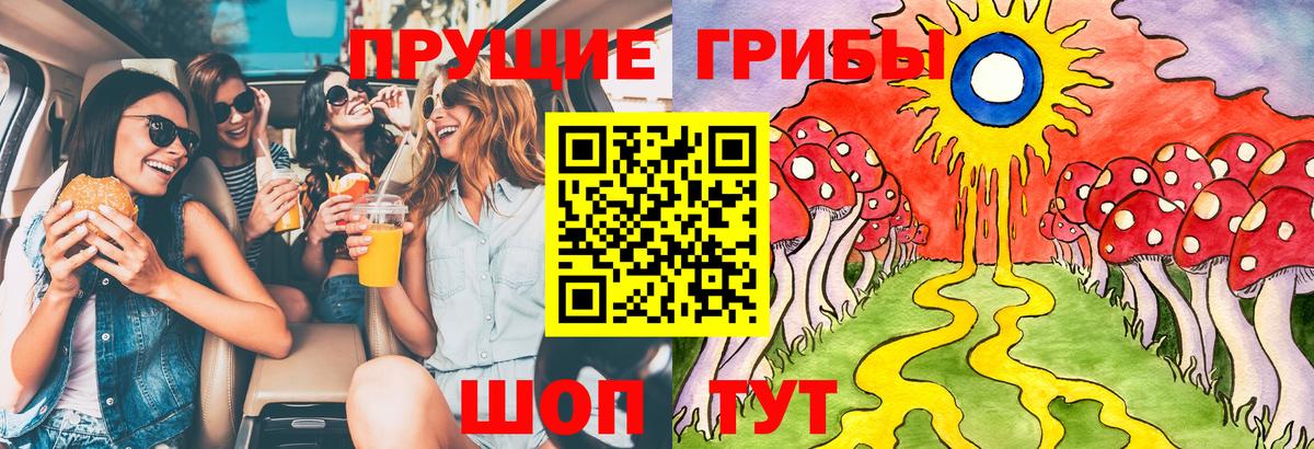 Галлюциногенные грибы Psilocybine cubensis Курган